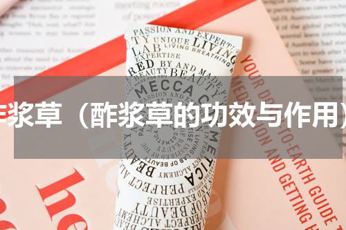 酢浆草（酢浆草的功效与作用）