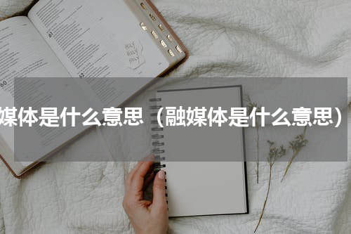 媒体是什么意思（融媒体是什么意思）