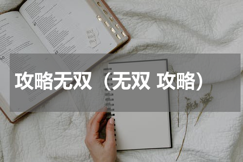 攻略无双（无双 攻略）