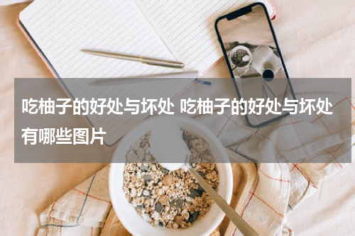 吃柚子的好处与坏处 吃柚子的好处与坏处有哪些图片