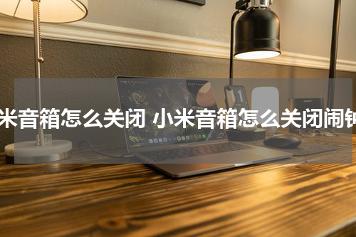 小米音箱怎么关闭 小米音箱怎么关闭闹钟