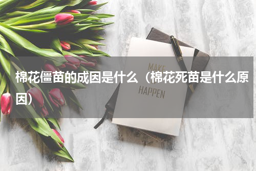 棉花僵苗的成因是什么（棉花死苗是什么原因）