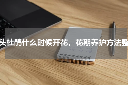 猴头杜鹃什么时候开花，花期养护方法整理