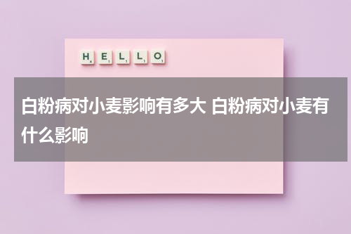 白粉病对小麦影响有多大 白粉病对小麦有什么影响