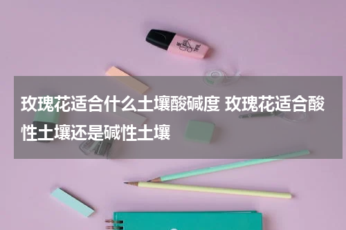 玫瑰花适合什么土壤酸碱度 玫瑰花适合酸性土壤还是碱性土壤