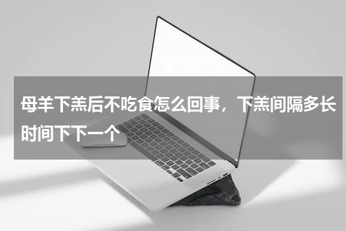 母羊下羔后不吃食怎么回事，下羔间隔多长时间下下一个