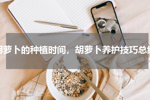 胡萝卜的种植时间，胡萝卜养护技巧总结