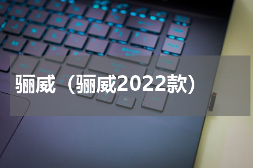 骊威（骊威2022款）