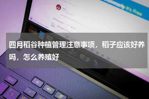 四月稻谷种植管理注意事项，稻子应该好养吗，怎么养殖好