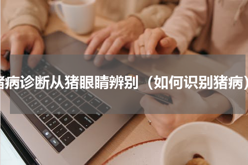 猪病诊断从猪眼睛辨别（如何识别猪病）