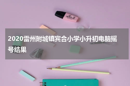 2020雷州附城镇宾合小学小升初电脑摇号结果