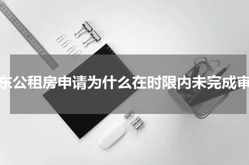 浦东公租房申请为什么在时限内未完成审核