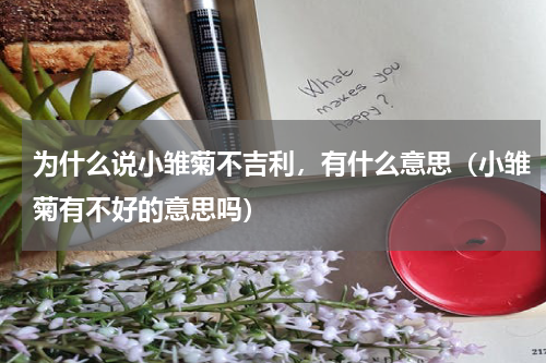 为什么说小雏菊不吉利，有什么意思（小雏菊有不好的意思吗）