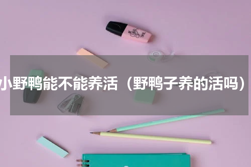 小野鸭能不能养活（野鸭子养的活吗）