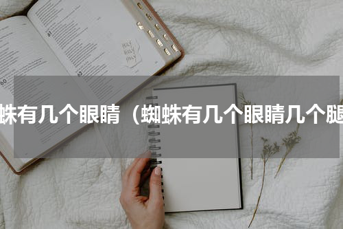 蜘蛛有几个眼睛（蜘蛛有几个眼睛几个腿）