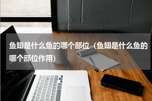 鱼翅是什么鱼的哪个部位（鱼翅是什么鱼的哪个部位作用）