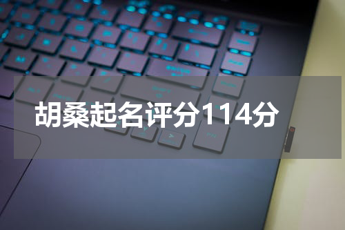 胡桑起名评分114分