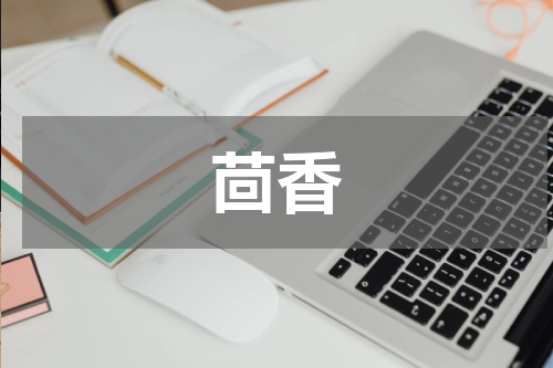 茴香