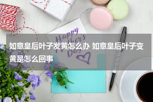 如意皇后叶子发黄怎么办 如意皇后叶子变黄是怎么回事