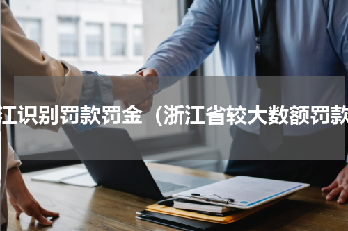 浙江识别罚款罚金（浙江省较大数额罚款）