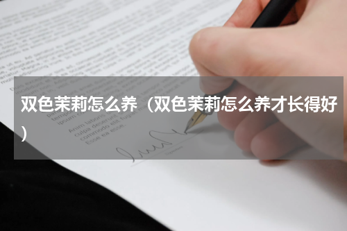 双色茉莉怎么养（双色茉莉怎么养才长得好）