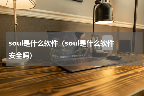soul是什么软件（soul是什么软件安全吗）