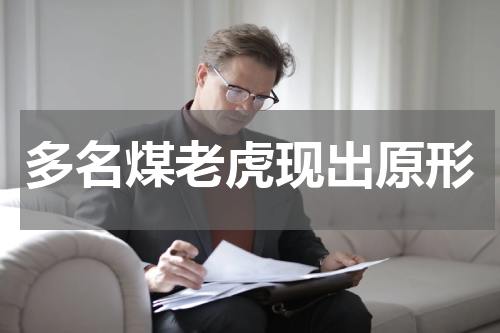 多名煤老虎现出原形