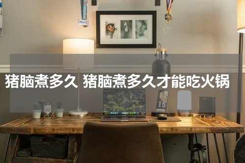 猪脑煮多久 猪脑煮多久才能吃火锅