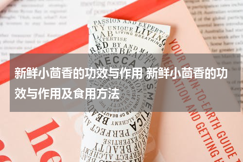 新鲜小茴香的功效与作用 新鲜小茴香的功效与作用及食用方法