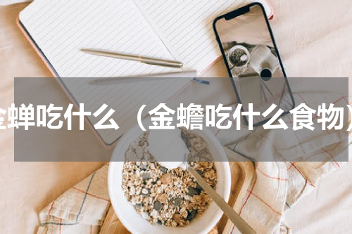 金蝉吃什么（金蟾吃什么食物）