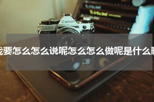 我要怎么怎么说呢怎么怎么做呢是什么歌