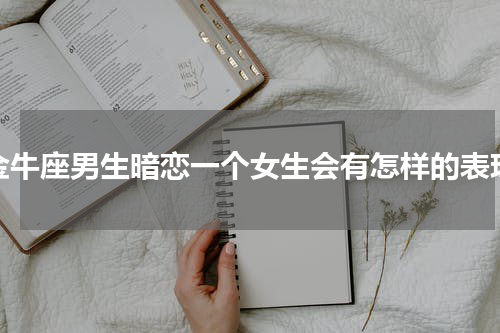 金牛座男生暗恋一个女生会有怎样的表现