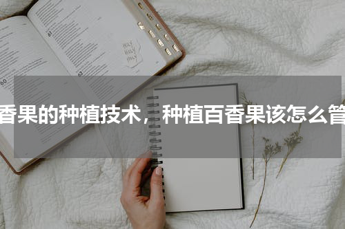 百香果的种植技术，种植百香果该怎么管理