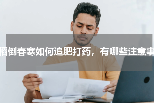 水稻倒春寒如何追肥打药，有哪些注意事项