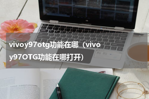 vivoy97otg功能在哪（vivoy97OTG功能在哪打开）