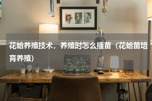 花蛤养殖技术，养殖时怎么播苗（花蛤苗培育养殖）