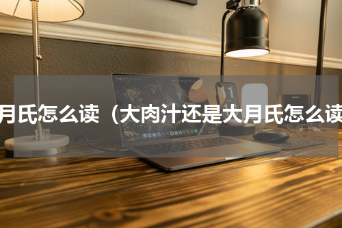 大月氏怎么读（大肉汁还是大月氏怎么读）