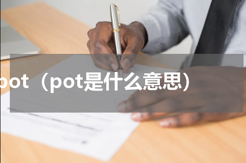 pot（pot是什么意思）