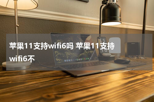 苹果11支持wifi6吗 苹果11支持wifi6不