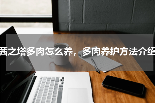 茜之塔多肉怎么养，多肉养护方法介绍