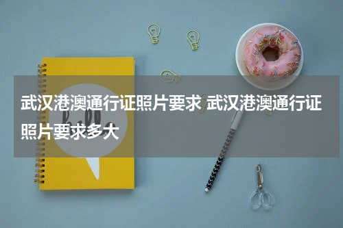 武汉港澳通行证照片要求 武汉港澳通行证照片要求多大