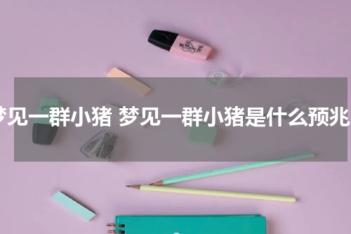 梦见一群小猪 梦见一群小猪是什么预兆