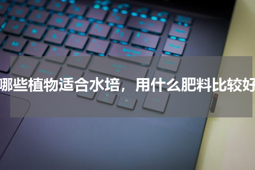 哪些植物适合水培，用什么肥料比较好
