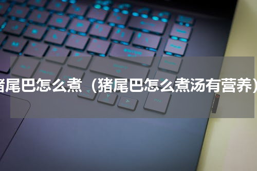 猪尾巴怎么煮（猪尾巴怎么煮汤有营养）