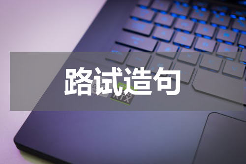 路试造句
