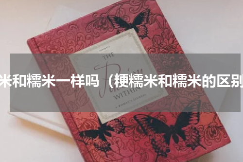 粳米和糯米一样吗（粳糯米和糯米的区别）