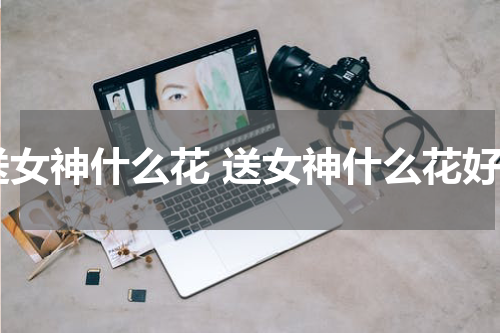 送女神什么花 送女神什么花好