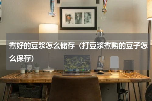 煮好的豆浆怎么储存（打豆浆煮熟的豆子怎么保存）