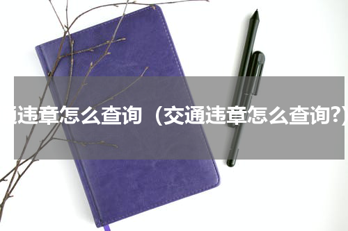 交通违章怎么查询（交通违章怎么查询?）