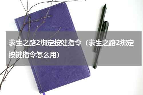 求生之路2绑定按键指令（求生之路2绑定按键指令怎么用）